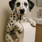 Hundetoilettenpapierhalter
